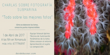 charla fotografía subacuática