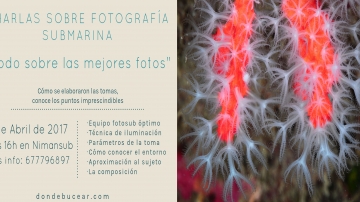 charla fotografía subacuática